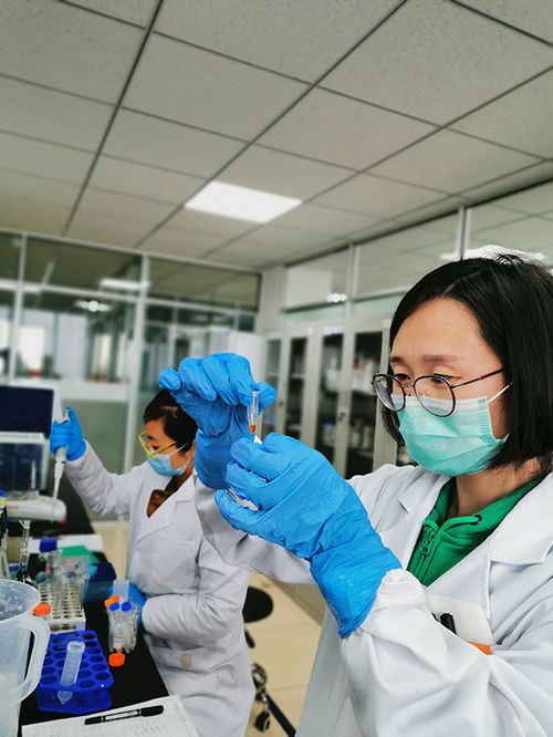 政銀企接力助復產，煙臺開發區科創服務生態圈顯神通